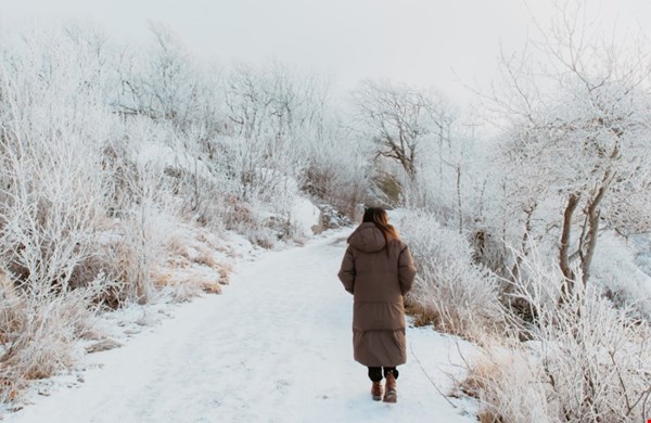Dit is waarom laagjes in de winter beter werken dan één dikke trui